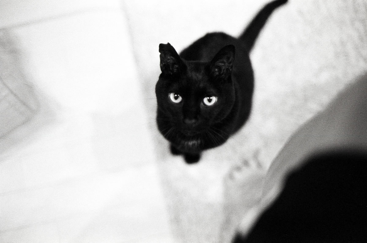 どのレンズ使ったか覚えてないの?|(仮)Nikon F3 Limited + AI Nikkor 35mm f/1.4S + Marix 400