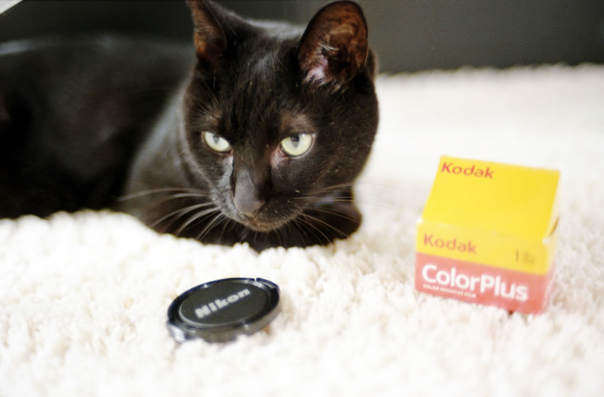 2026年はカメラ片手にどこへ行こうか|Nikon F3 Limited + AI Nikkor 35mm f/1.4S + KODAK ColorPlus 200