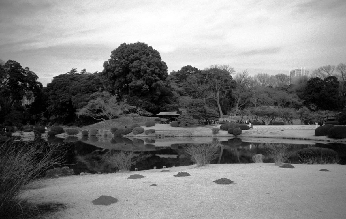 東京のど真ん中とは思えない静けさ｜Leica M5 + SUMMARON-M f5.6/28mm + Fomapan 400 Action