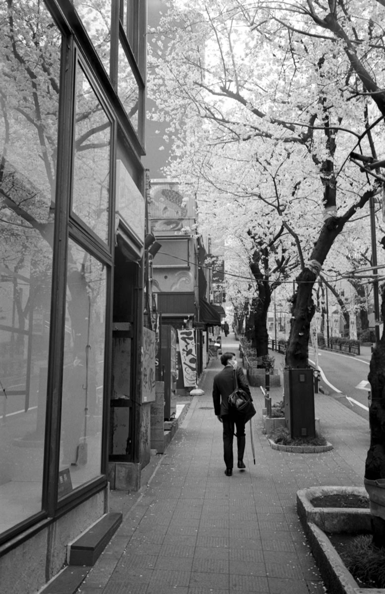 ズミルックスはショック品だったようです｜Leica M5 + Summilux 35mm f1.4 + ILFORD HP5 PLUS