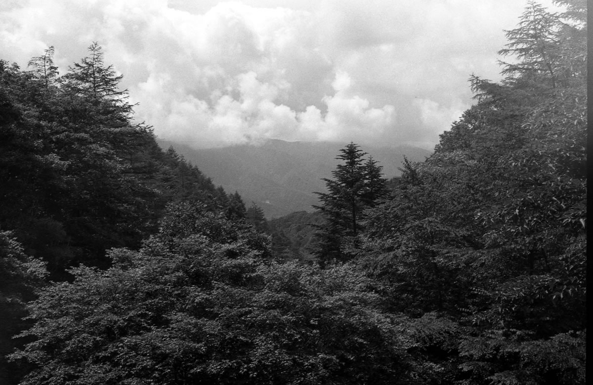 柳沢峠からは富士山が見えます（晴れていれば）｜Rollei 35S + MARIX 400