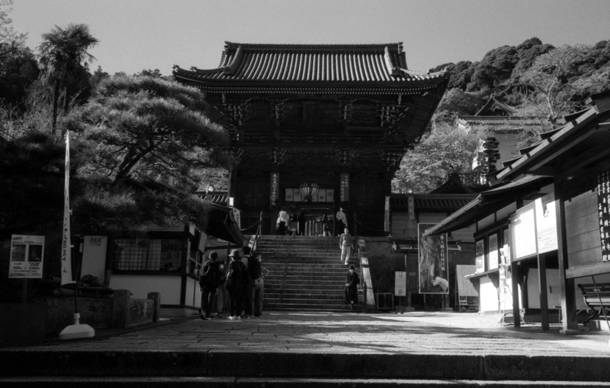 長谷寺の入り口｜Leica M5 + Summaron 35mm F3.5 with goggles + Fomapan200 Creative