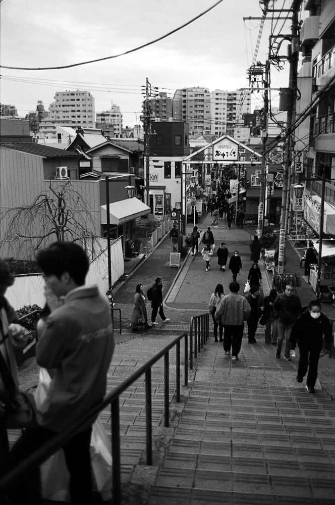 谷中で折り返し｜Leica M5 + Summilux 35mm f1.4 + Marix 400