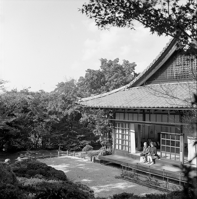 静かな境内｜ROLLEIFLEX 2.8F + Kodak TRI-X 400