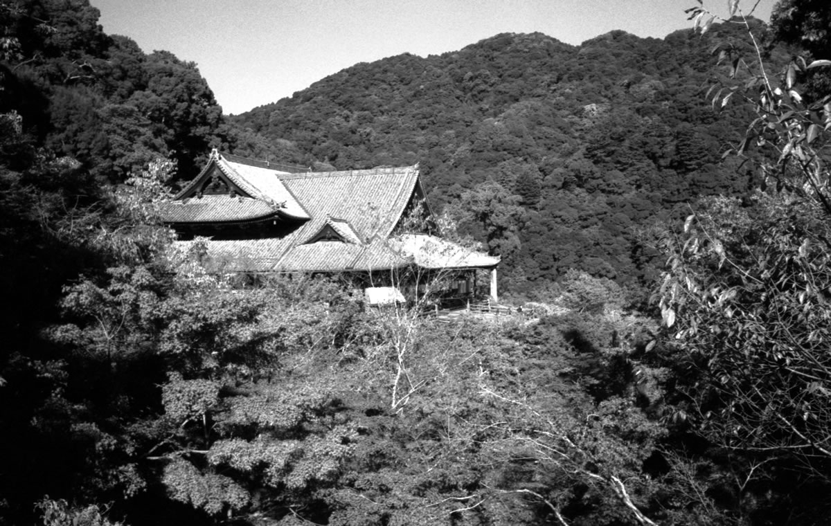 長谷寺の本堂（遠景）｜Leica M5 + Summaron 35mm F3.5 with goggles + Fomapan200 Creative