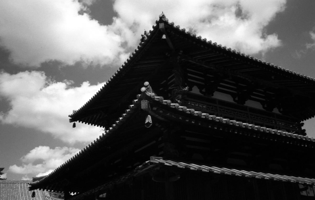 法隆寺、素晴らしいな｜Leica M5 + Summaron 35mm F3.5 with goggles + Fomapan200 Creative