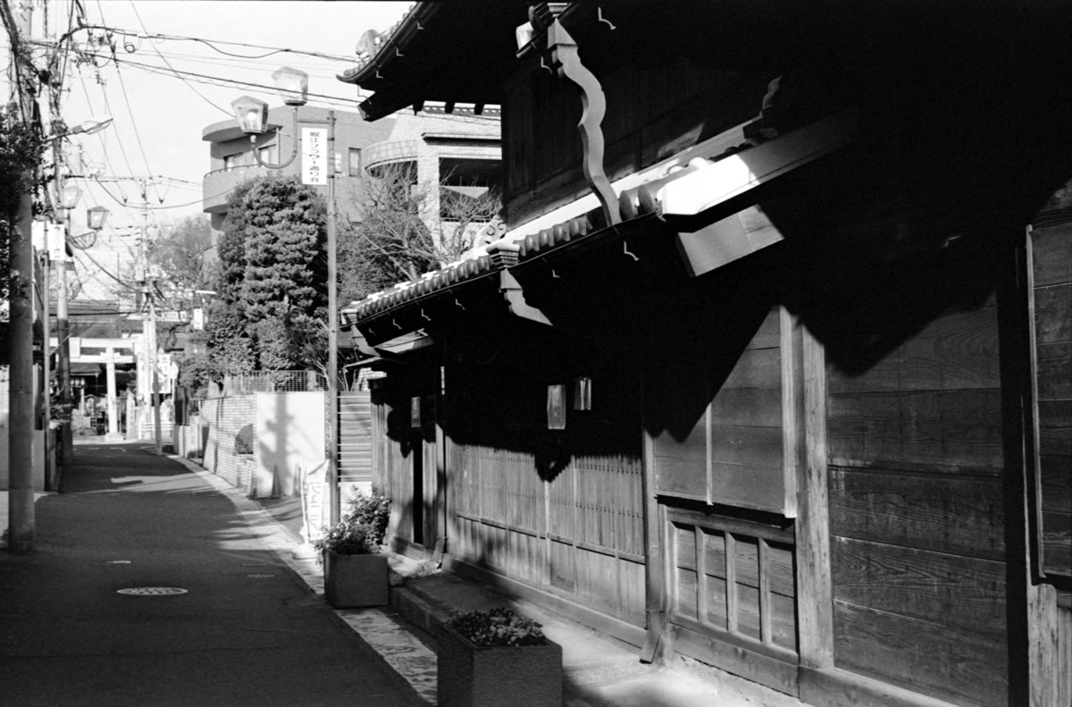 浦安のフラワー通り｜Leica M3 + C Sonnar T* 1.5/50 ZM + Fujifilm Neopan 400 Presto