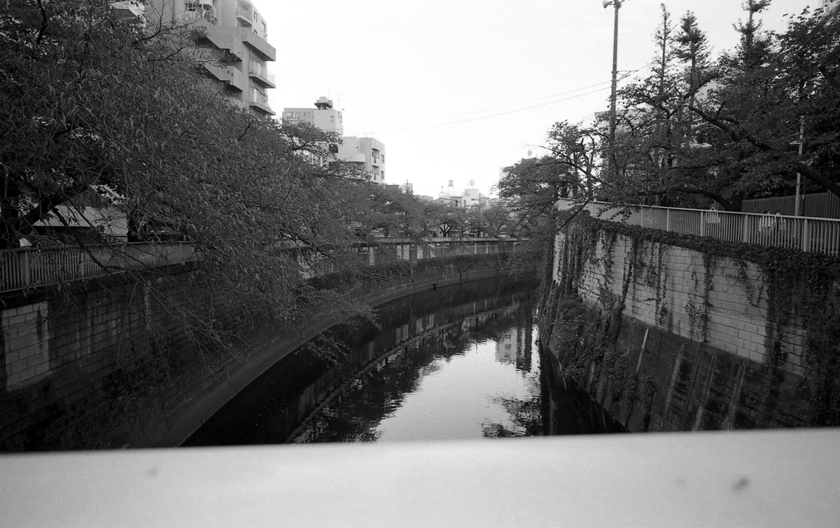 桜の名所・神田川｜Leica M3 + C Biogon T* 4.5/21 ZM + ILFORD HP5 PLUS