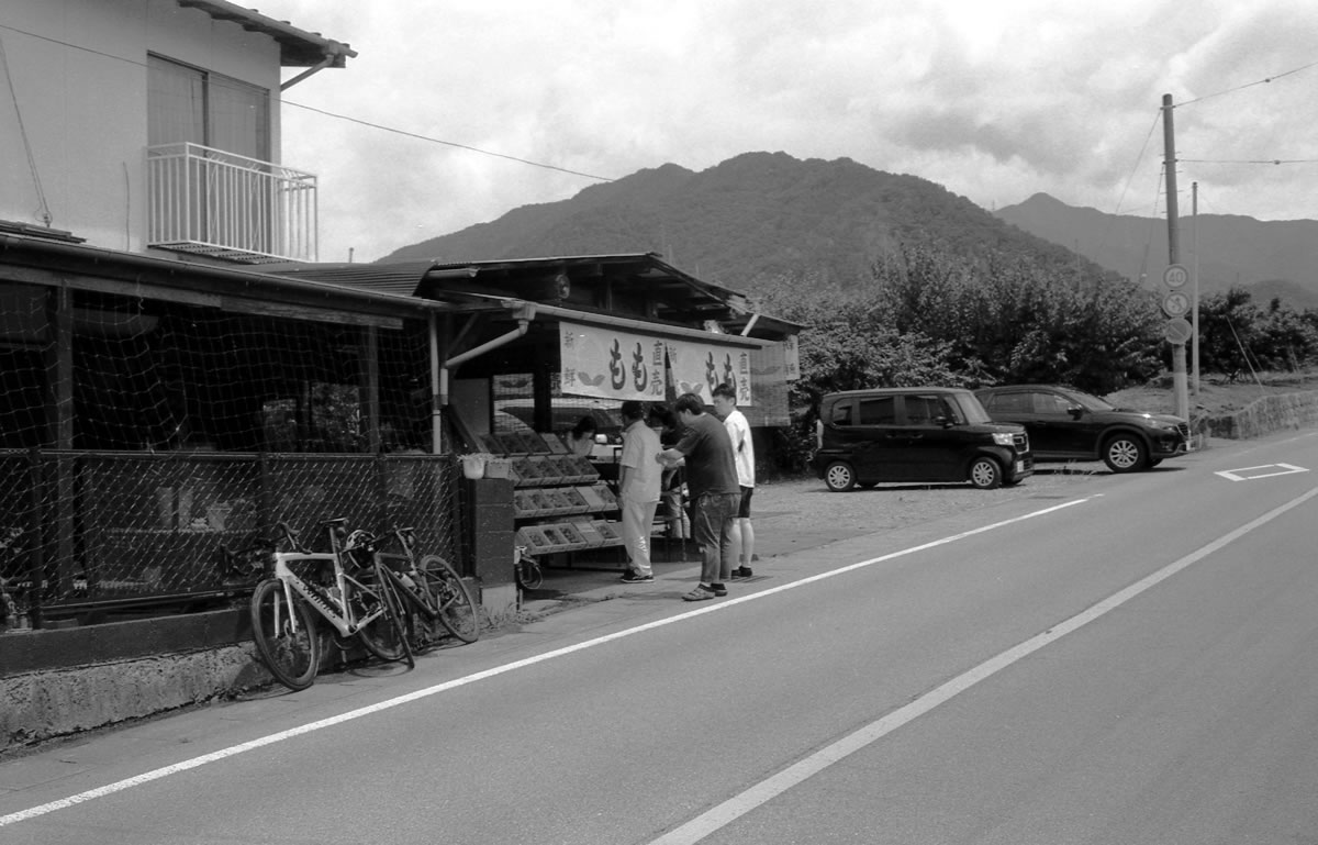 国道411号線に立ち並ぶ桃の直売所｜Rollei 35S + MARIX 400