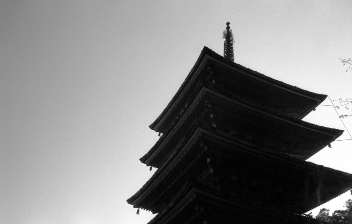 長谷寺、すべてが素敵だ｜Leica M5 + Summaron 35mm F3.5 with goggles + Fomapan200 Creative