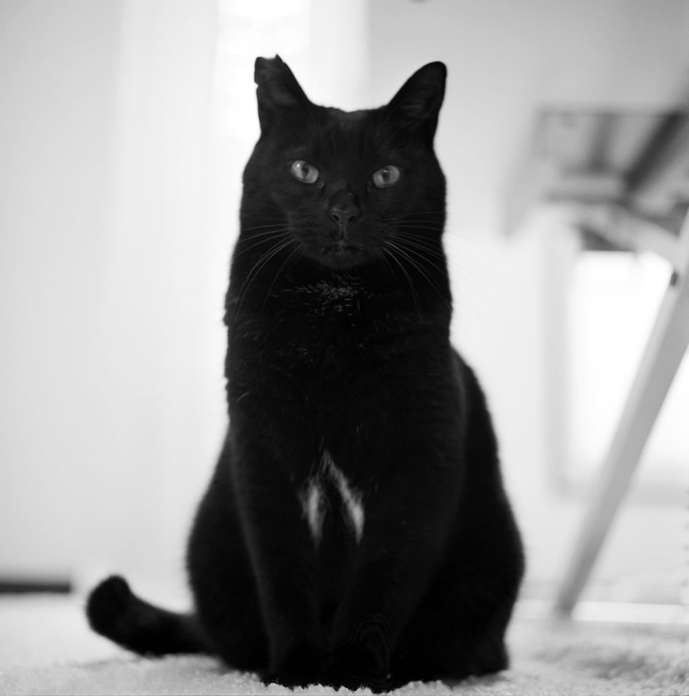 僕だけ距離感遠くないですか？｜ROLLEIFLEX 3.5F + Rolleinar 1 Bay II + Kentmere 400