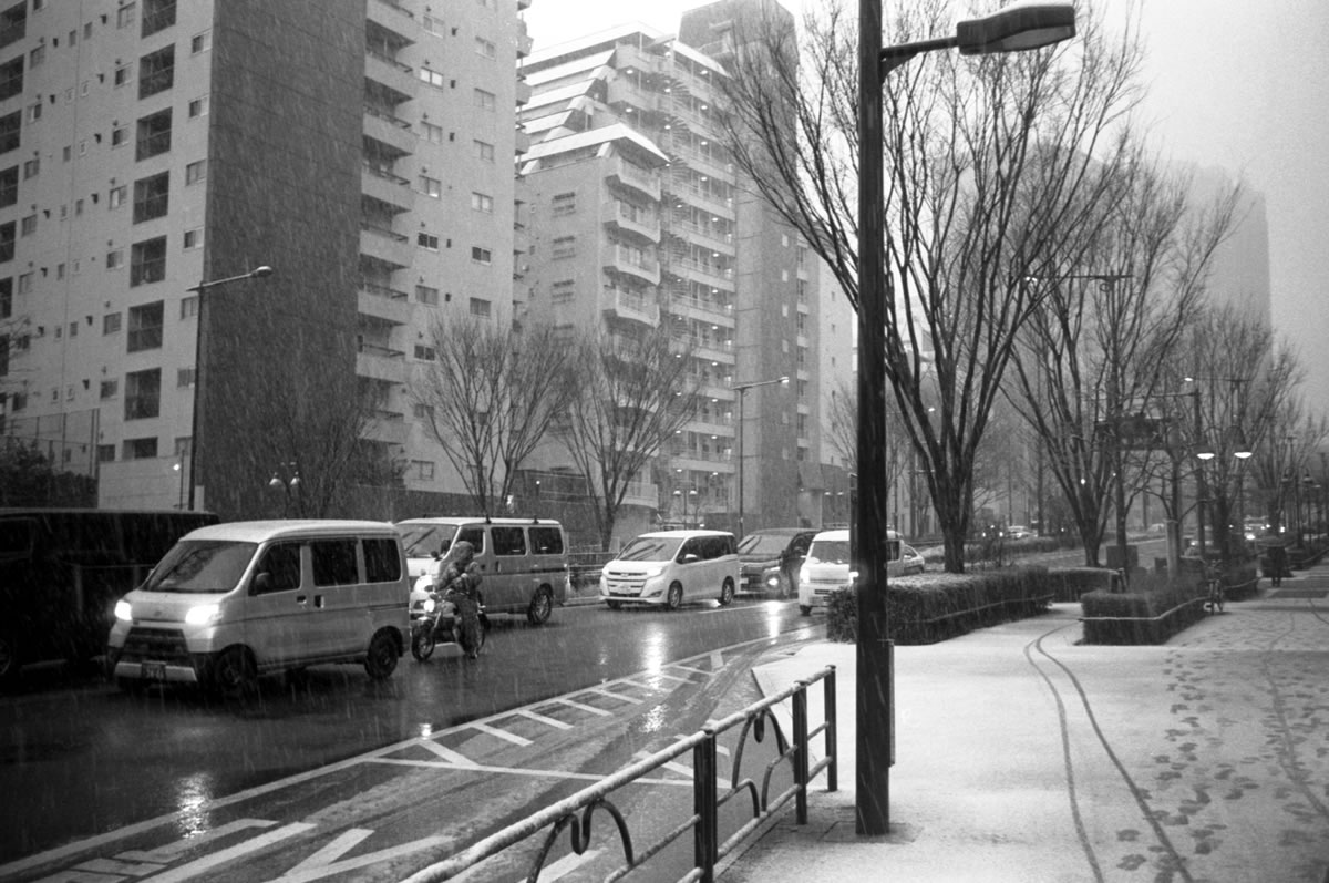 場所によってはかなり積もってきました｜Leica M3 + Summaron 35mm F3.5 with goggles + Marix 400