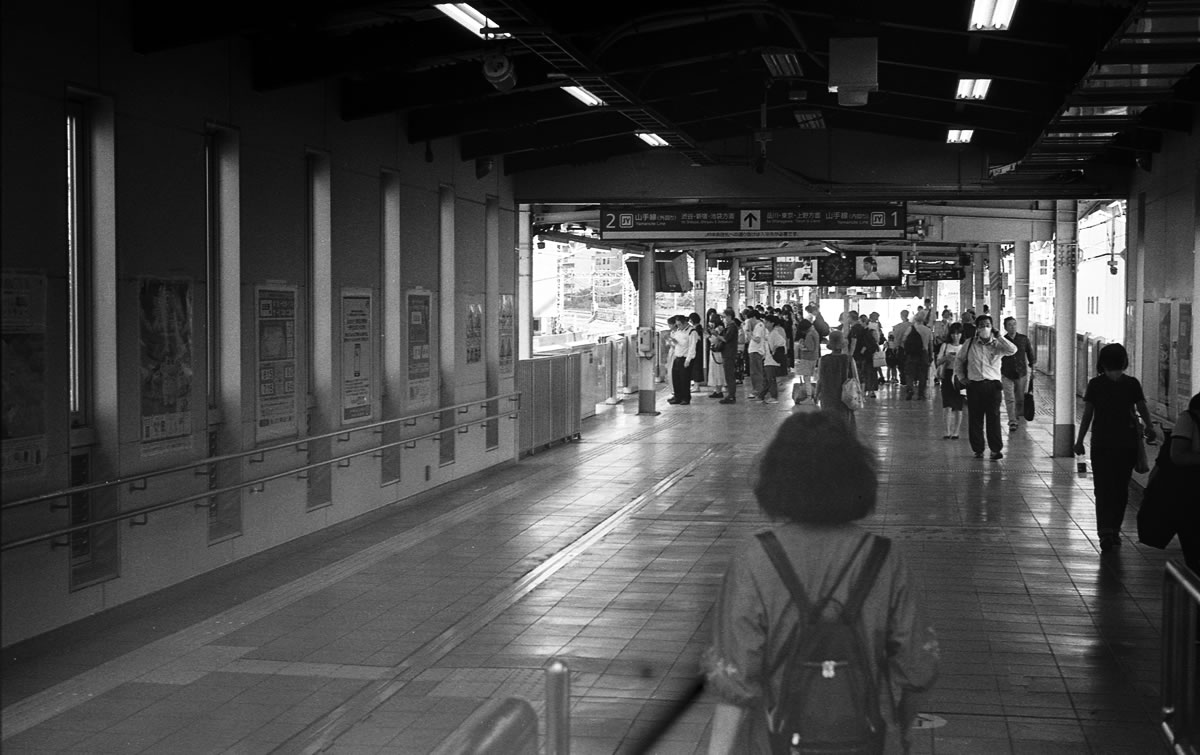 そうだ寿司食べ行こう｜Leica M5 + SUMMILUX-M f1.4/50mm ASPH. + Marix 400