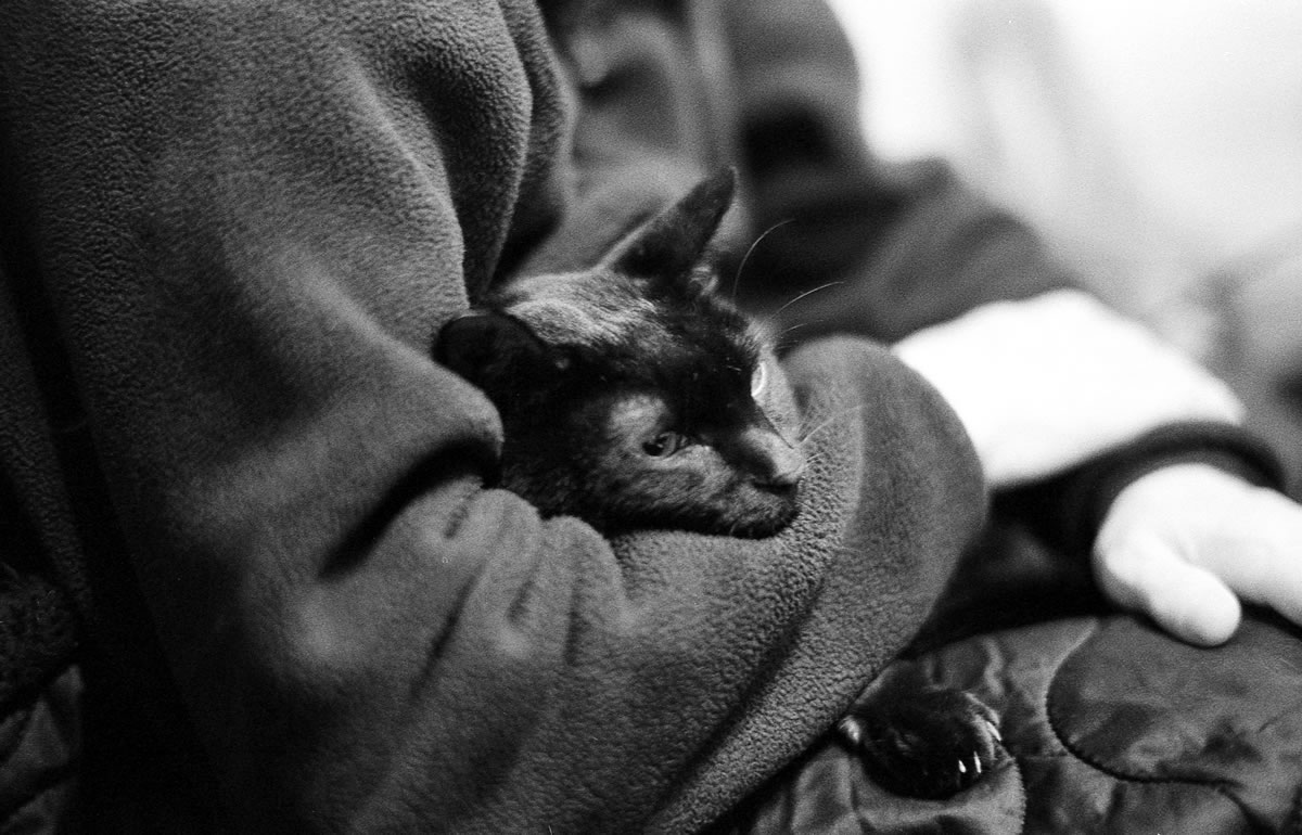 家人の腕に逃げ込む黒猫氏|Leica M5 + SUMMILUX-M f1.4/50mm ASPH. + Marix 400