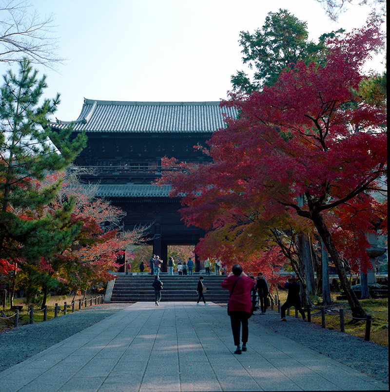 南禅寺｜ROLLEIFLEX 2.8F + KODAK PORTRA 160