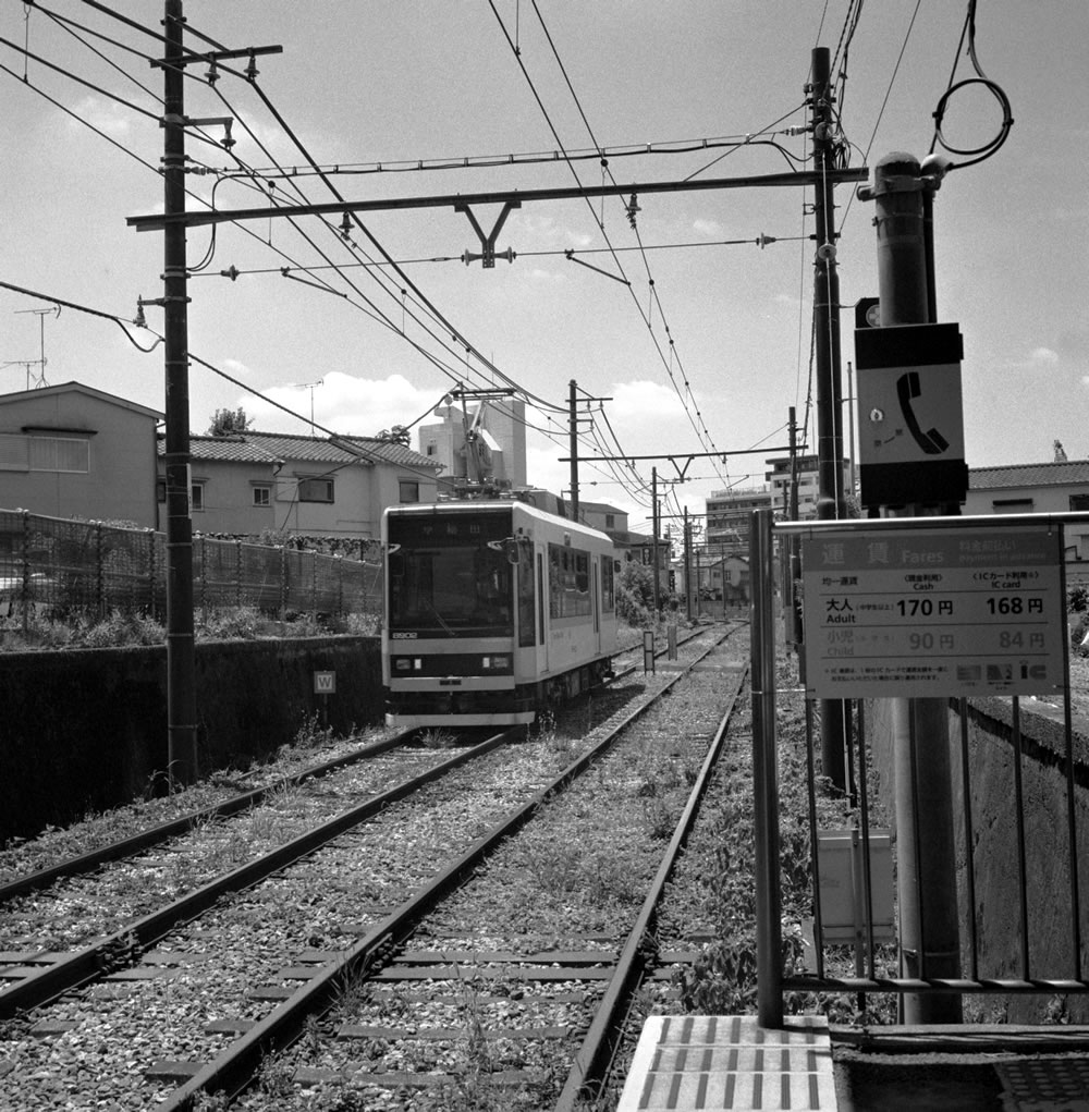 みんな大好きさくらトラム｜ROLLEIFLEX 2.8F + Fomapan 400 Action