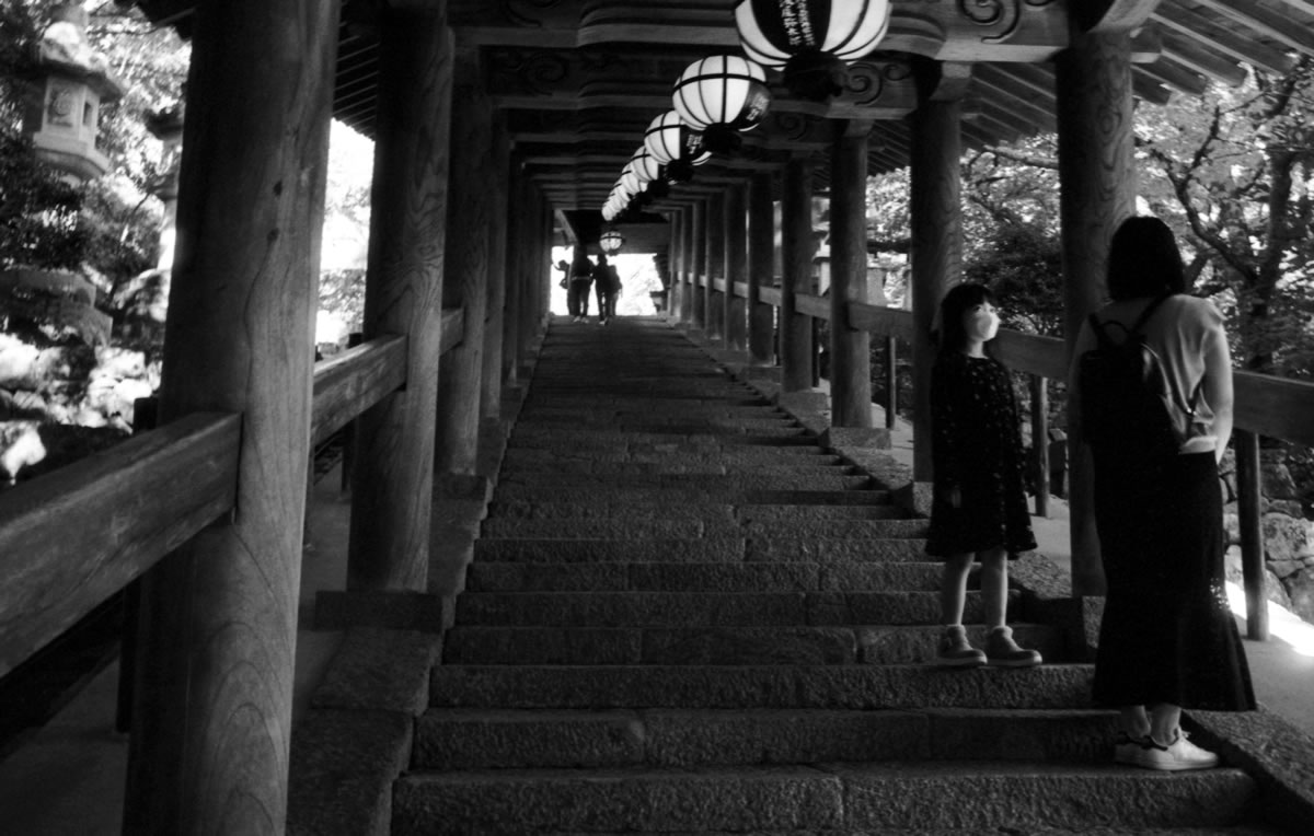 長谷寺の階段を上る｜Leica M5 + Summaron 35mm F3.5 with goggles + Fomapan200 Creative