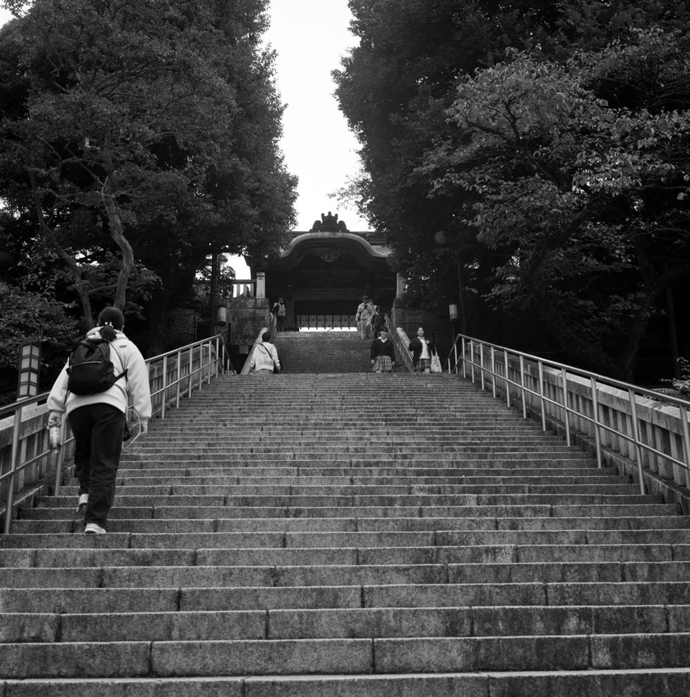 二荒山神社の階段｜ROLLEIFLEX 2.8F + Kentmere 400
