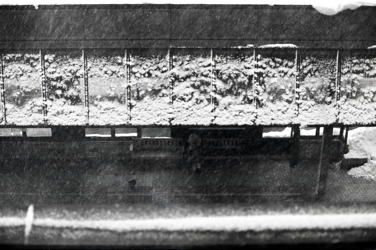 長岡を去る時間になりました｜Nikon F3 Limited + AI Nikkor 50mm f/1.2S + Marix 400