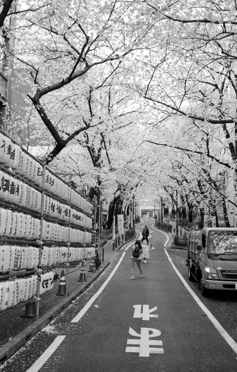 ズミルックスは旅行の定番レンズだっただけに｜Leica M5 + Summilux 35mm f1.4 + ILFORD HP5 PLUS