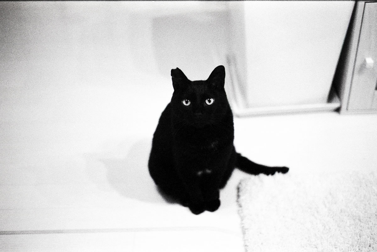ちょっと、人間|Leica M5 + SUMMILUX-M f1.4/50mm ASPH. + Marix 400