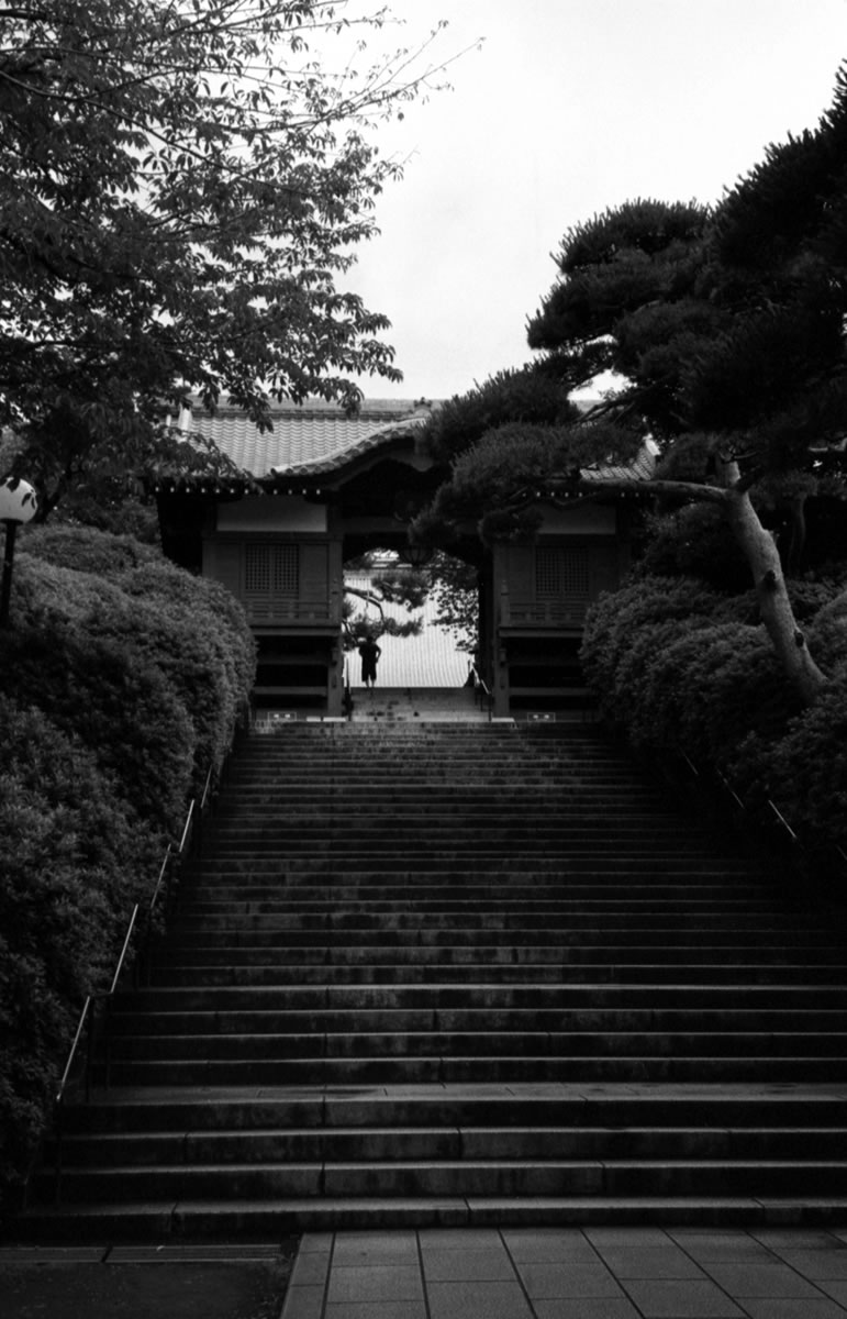 せっかくなので護国寺の本堂へ｜Rollei 35S + Fomapan 400 Action