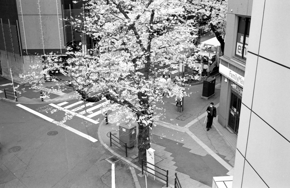 レンズを落としてはいけない選手権｜Leica M5 + Summilux 35mm f1.4 + ILFORD HP5 PLUS