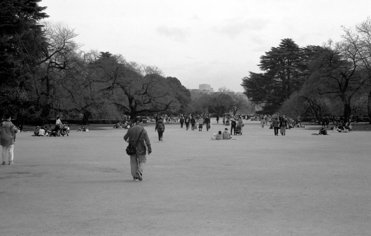 さすが人がいっぱい新宿御苑｜Leica M5 + SUMMILUX-M f1.4/50mm ASPH. + Fomapan 400 Action