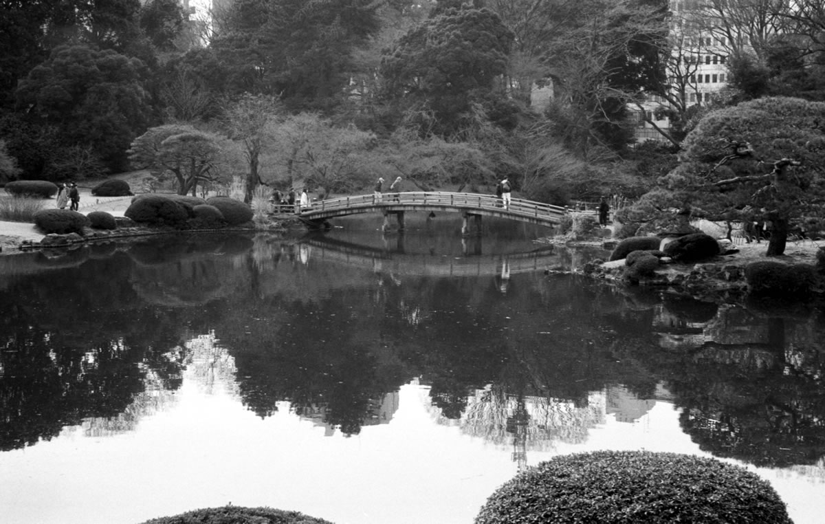 新宿御苑、初めて来た｜Leica M5 + SUMMILUX-M f1.4/50mm ASPH. + Fomapan 400 Action