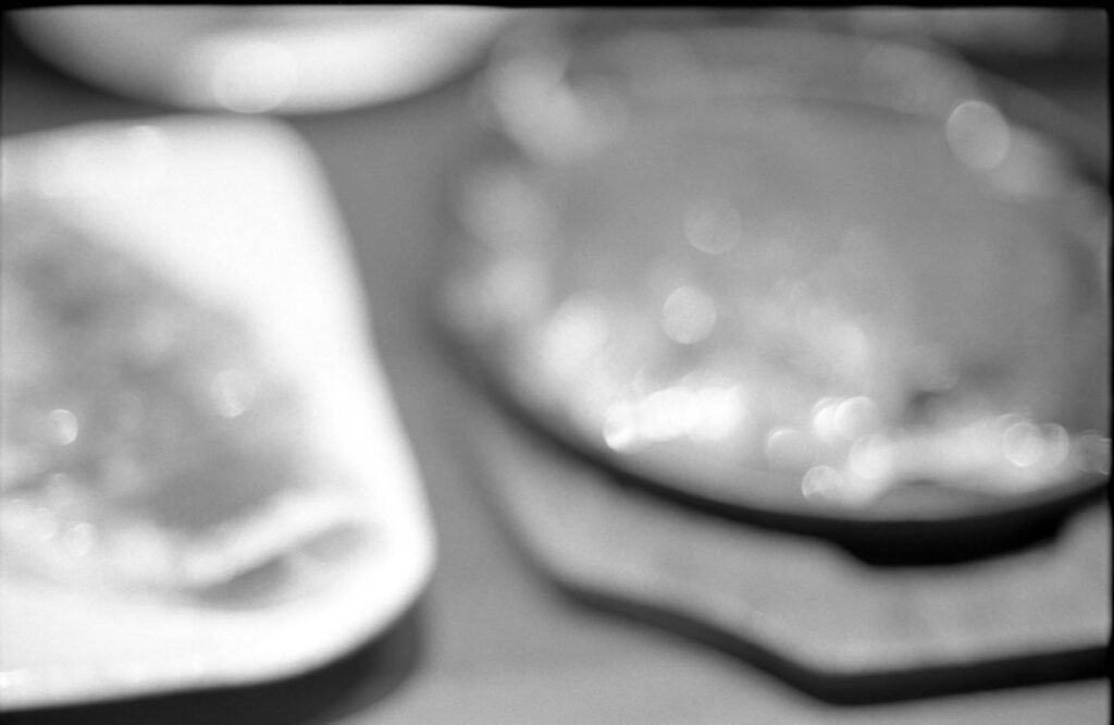 ゾナーの美しいボケを堪能|Leica M3 + C Sonnar T* 1.5/50 ZM + FKodak TRI-X 400