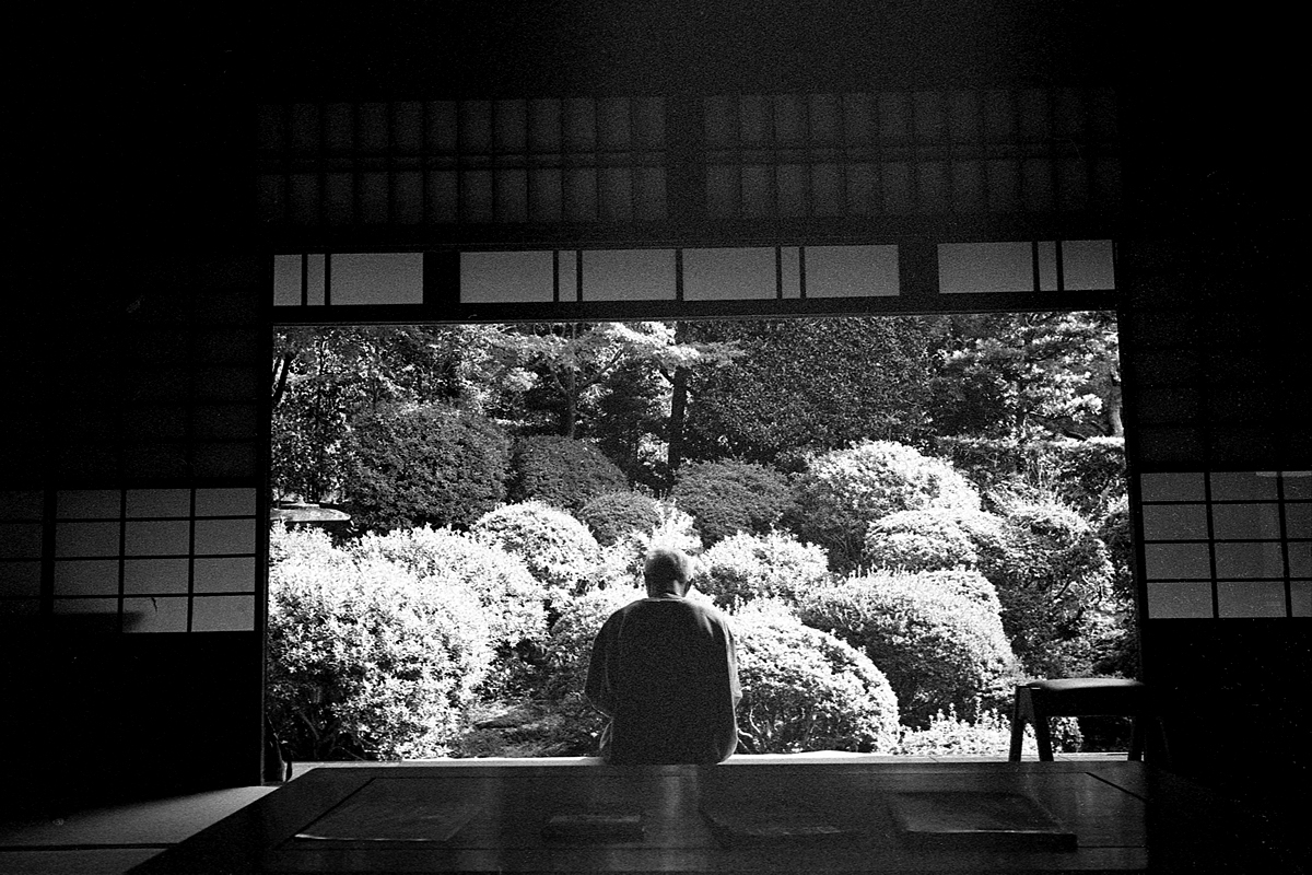 安楽寺｜LEICA M5 + SUMMILUX 35mm F1.4 + Kodak TRI-X 400