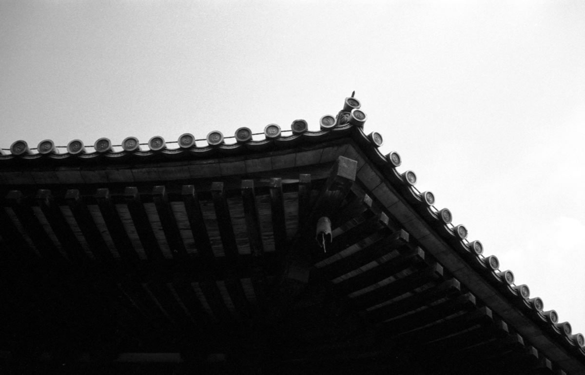 人生で一度は見たい法隆寺｜Leica M5 + Summaron 35mm F3.5 with goggles + Fomapan200 Creative