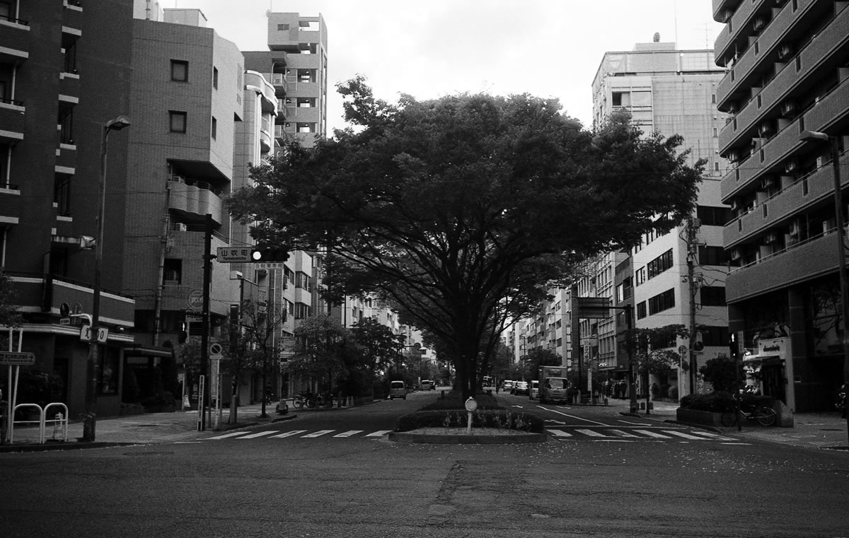 早稲田大学を望む｜Leica M3 + Summaron 35mm F3.5 with goggles + Fomapan 400 Action