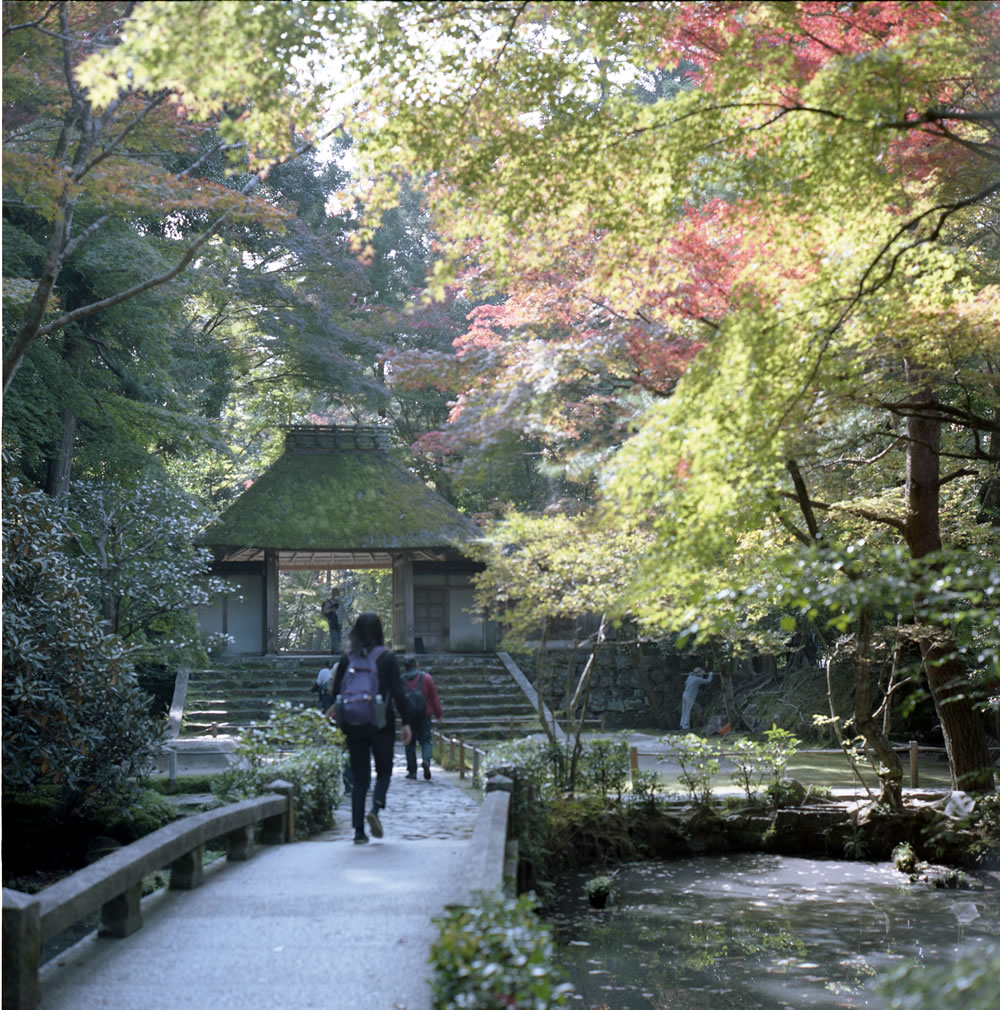 ローライフレックスで撮るお寺の中庭｜ROLLEIFLEX 2.8F + KODAK PORTRA 160