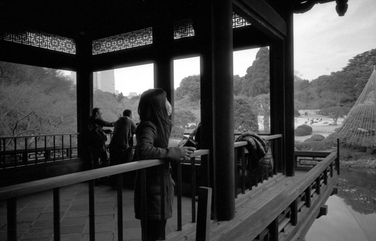 新宿御苑で台湾気分｜Leica M5 + SUMMARON-M f5.6/28mm + Fomapan 400 Action