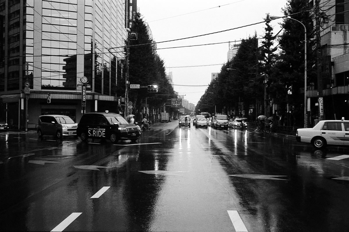 しかも結構な雨でした｜Leica M5 + Summilux 35mm f1.4 + Marix 400