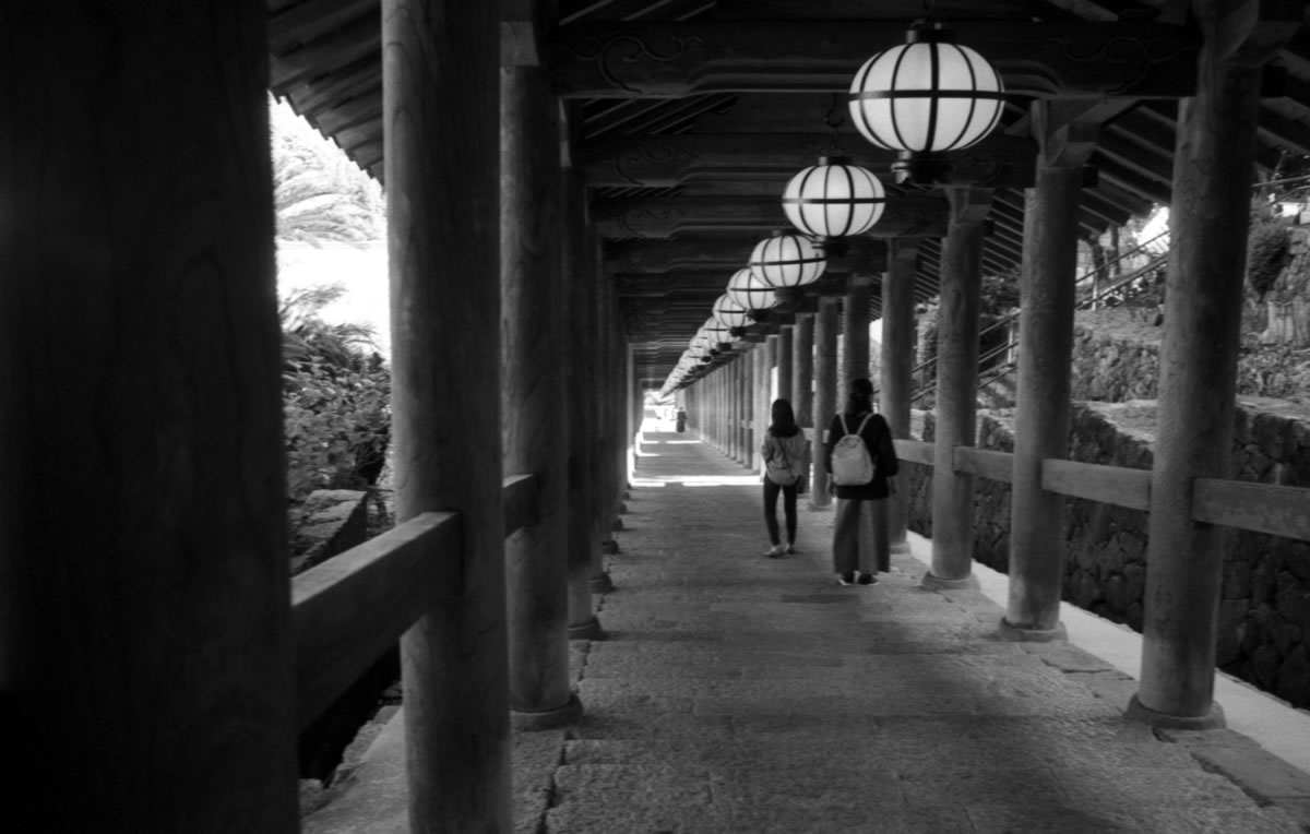 入り口ははるか下｜Leica M5 + Summaron 35mm F3.5 with goggles + Fomapan200 Creative