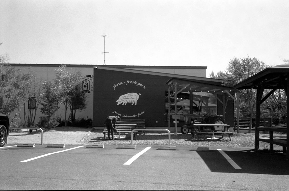 大丈夫なときは大丈夫なんだけど｜Rollei 35S + MARIX 400