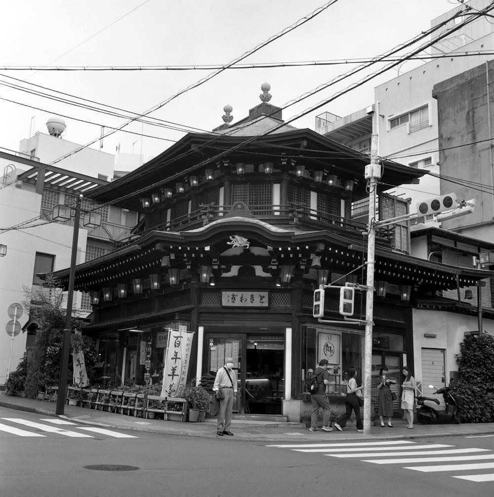 熱海訪問の目的はときわぎに来ること｜ROLLEIFLEX 3.5F + Kentmere 400