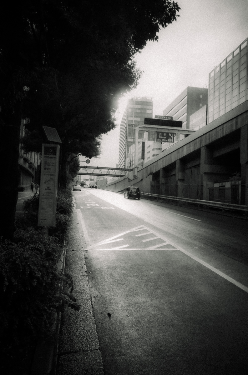 台風14号の一瞬の晴れ間｜Leica M10 Monochrom + SUMMARON-M f5.6/28mm