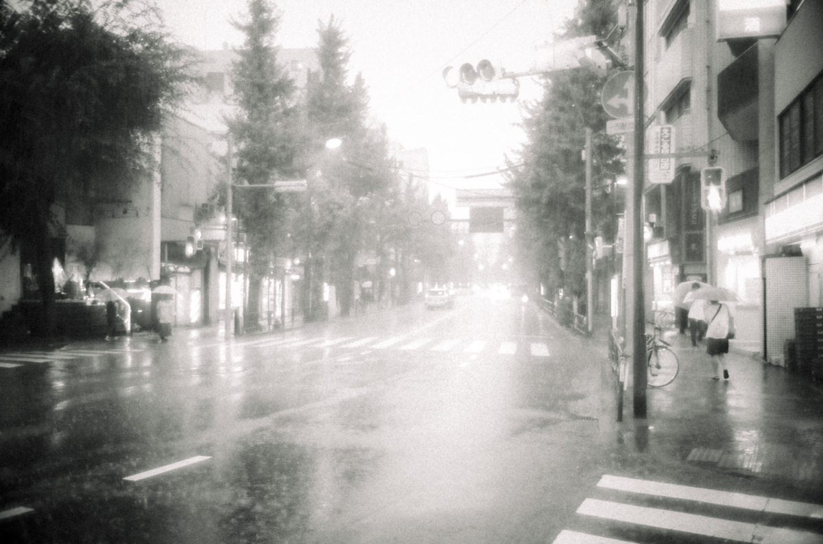 晴れ間の後はバケツをひっくり返したような雨｜Leica M10 Monochrom + Summilux 35mm f1.4