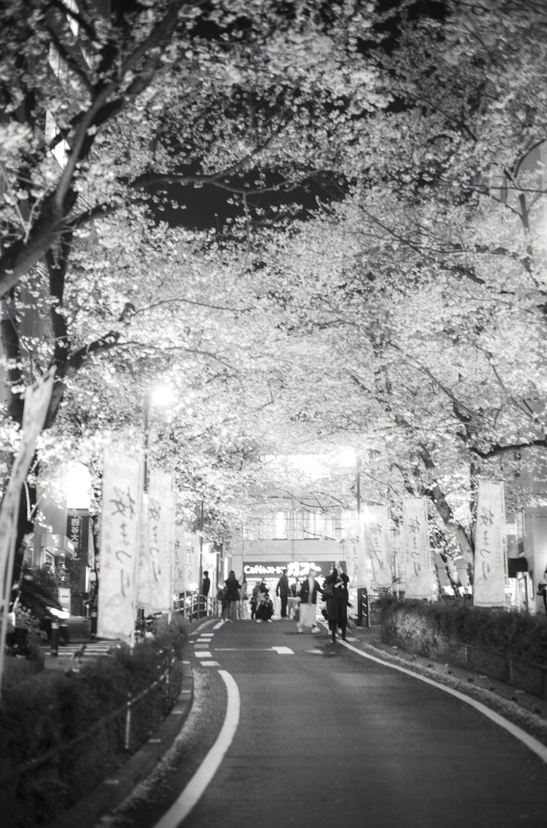 渋谷の桜丘は大賑わい｜Leica M10 Monochrom + SUMMILUX-M f1.4/50mm ASPH.