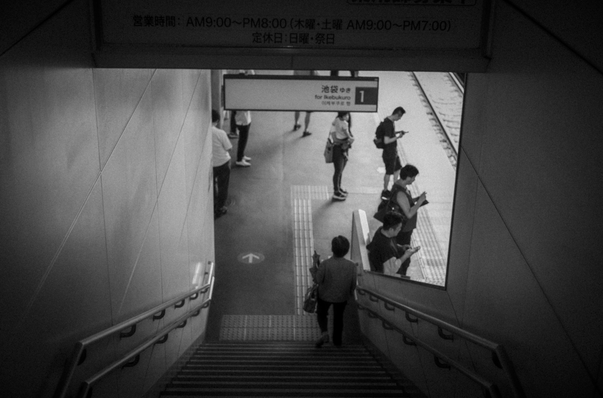 2つのズミルックス｜Leica M10 Monochrom + SUMMILUX-M f1.4/50mm ASPH.