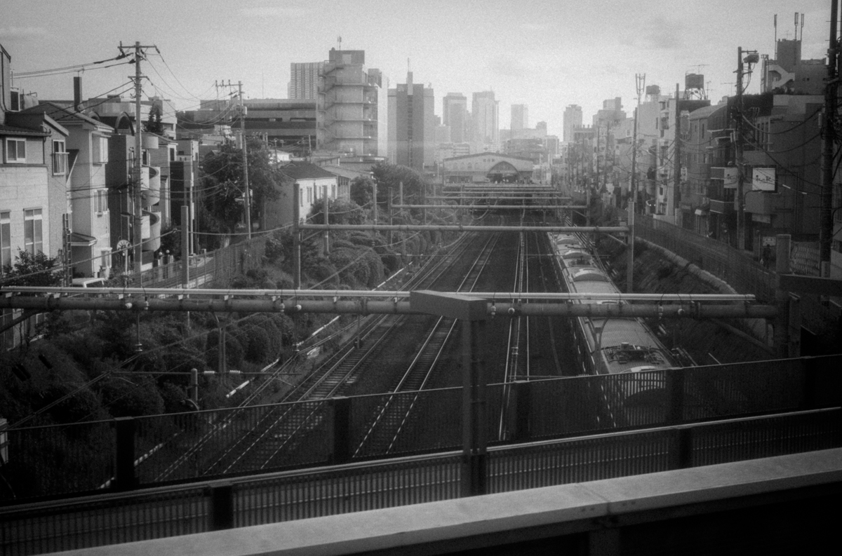 ズミルックスのおかげでM10M復活｜Leica M10 Monochrom + SUMMILUX-M f1.4/50mm ASPH.