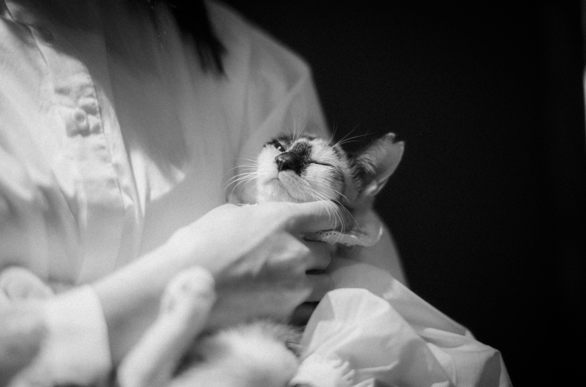 我が家の黒猫では決してできない抱っこもご覧のとおり｜Leica M10 Monochrom + SUMMILUX-M f1.4/50mm ASPH.