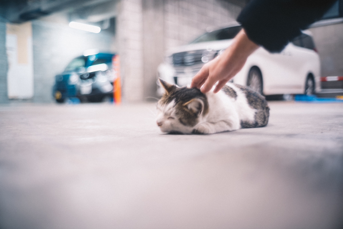 西日暮里のことを好きになってしまいそう(;´Д｀)｜Leica M10 + Summilux 35mm f1.4