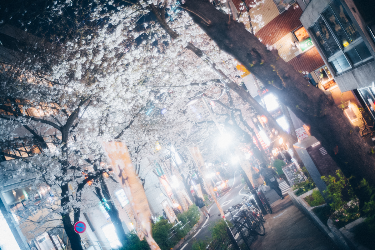 渋谷で静かに桜を楽しむならここ｜Leica M10 + Summilux 35mm f1.4