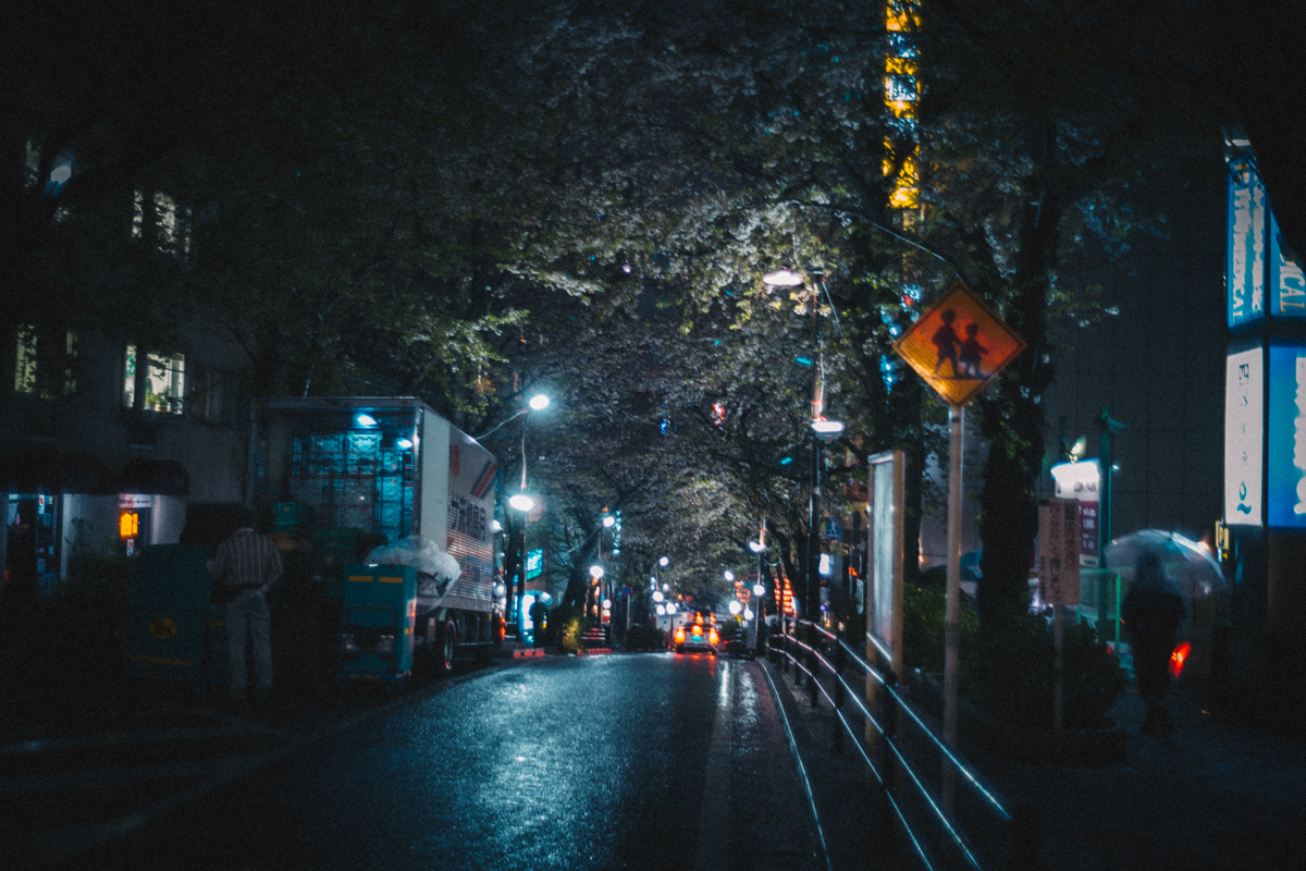 桜散らす春の氷雨｜Leica M10 + Summilux 35mm f1.4