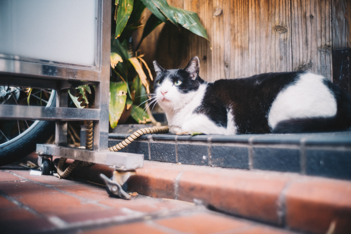 蒲田は聖地かもしれない｜Leica M10 + Summilux 35mm f1.4