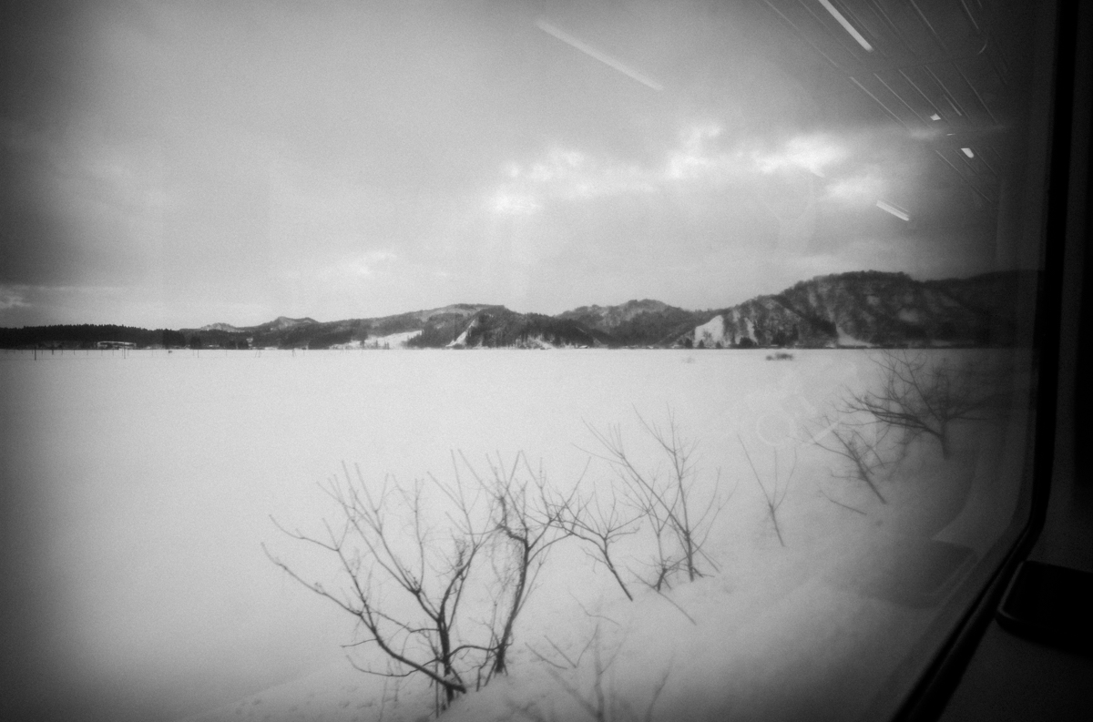 雪の下には何があるのか｜Leica M10 Monochrom + C Biogon T* 4.5/21 ZM